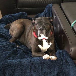 Meet your Posher, Justin